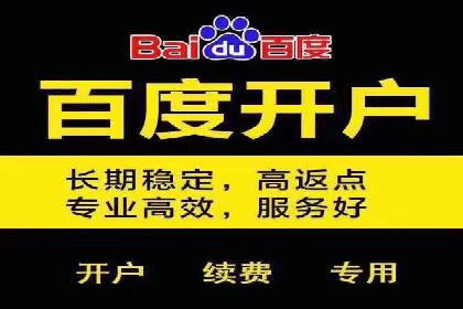 成功案例揭秘：百度推广代运营的五大优势